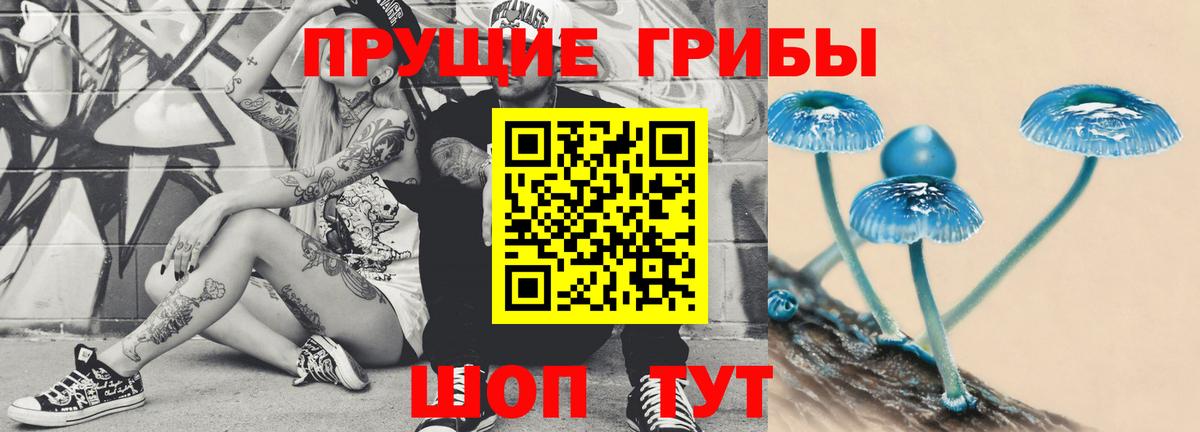 Гулькевичи  Галлюциногенные грибы MAGIC MUSHROOMS  Вход с VPN 